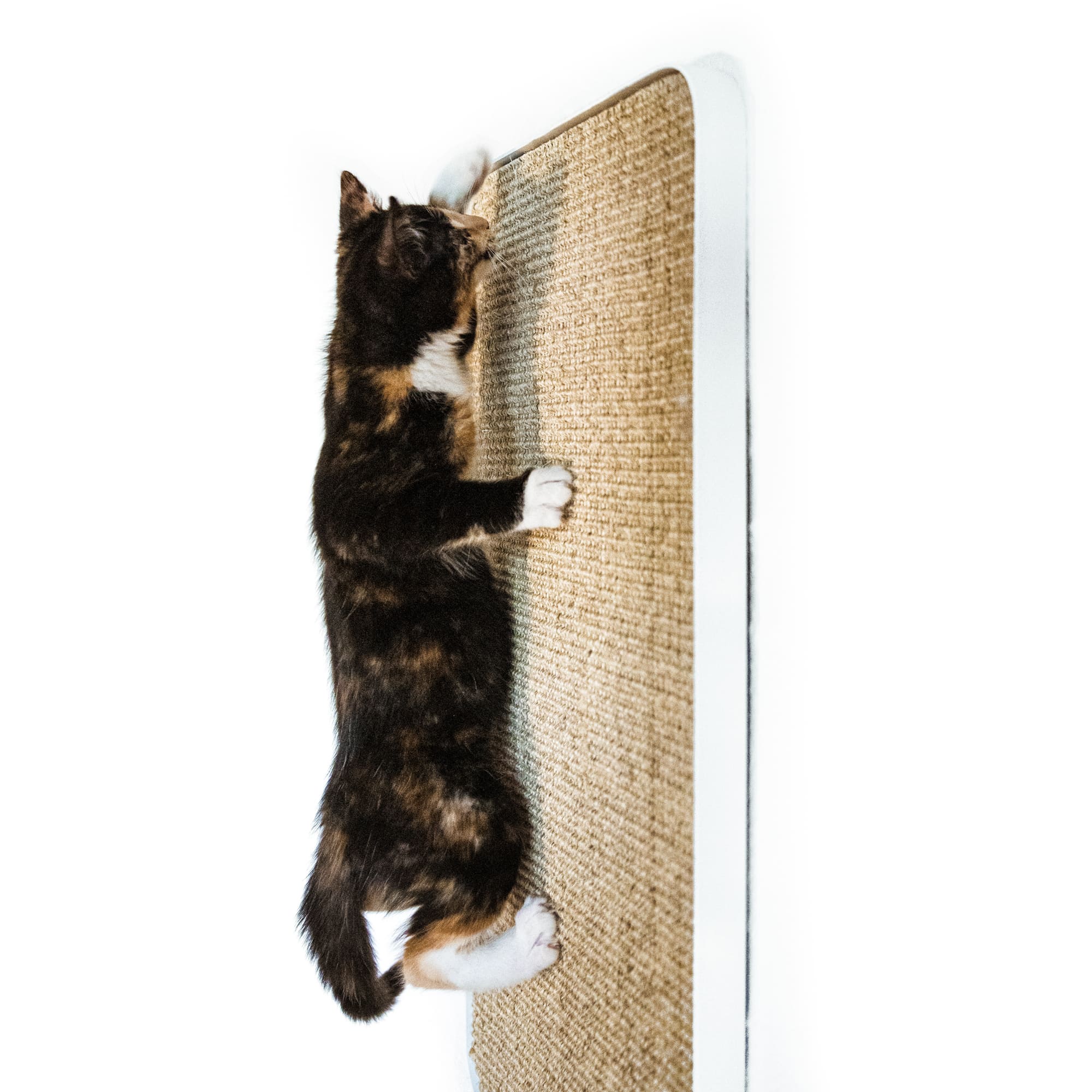 Clawsy | Wand-Kratzbrett für Katzen mit austauschbarer Sisalauflage