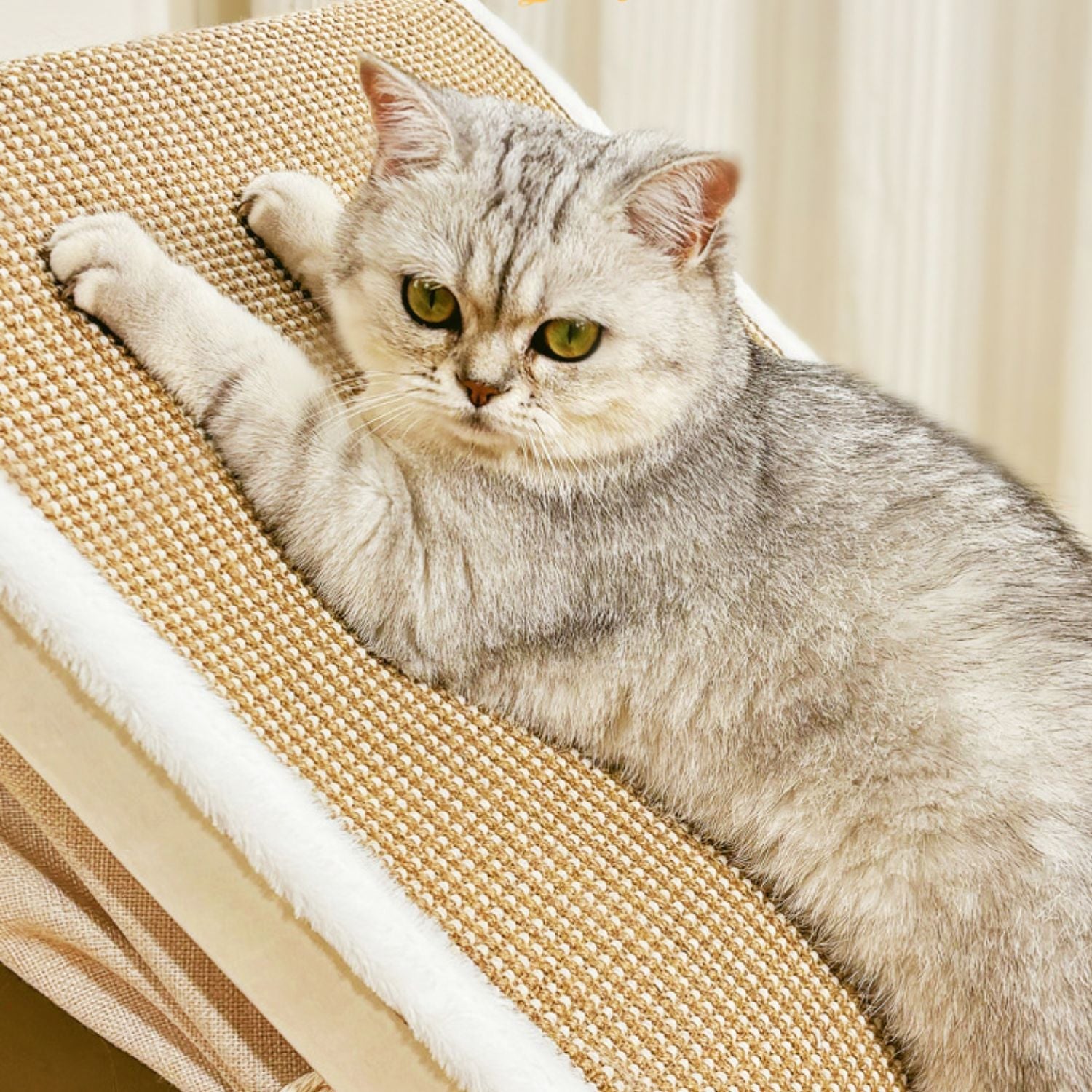 Liora | Gemütliches Katzenhaus mit Sisaldach