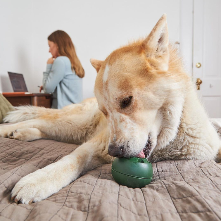 Toby | Einfrierbarer Snackball für Hunde & Katzen
