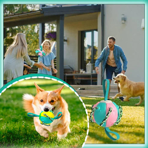 Balloro | Robuster Zerr- und Kauspielball für aktive Hunde