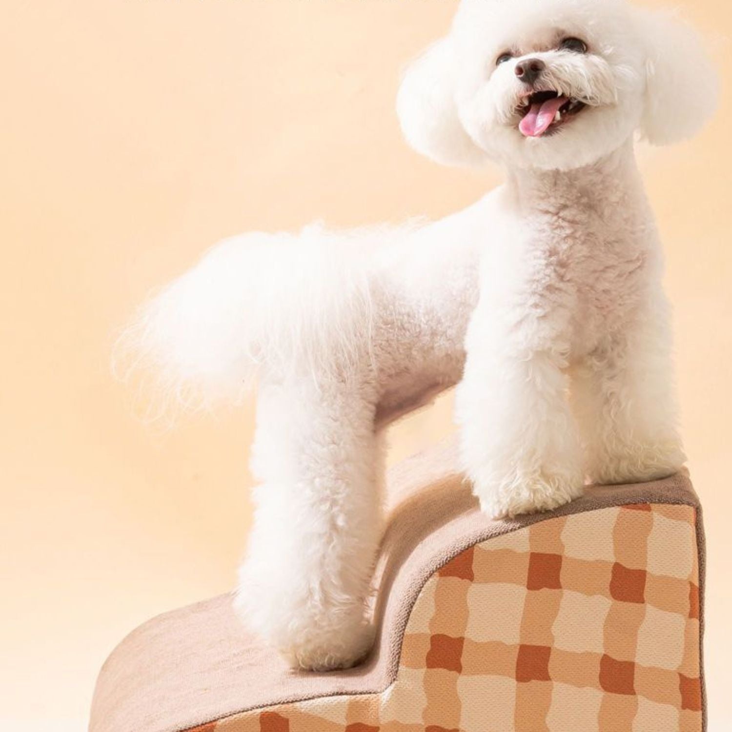 PawStep | Weiche Hundetreppe für Bett & Sofa