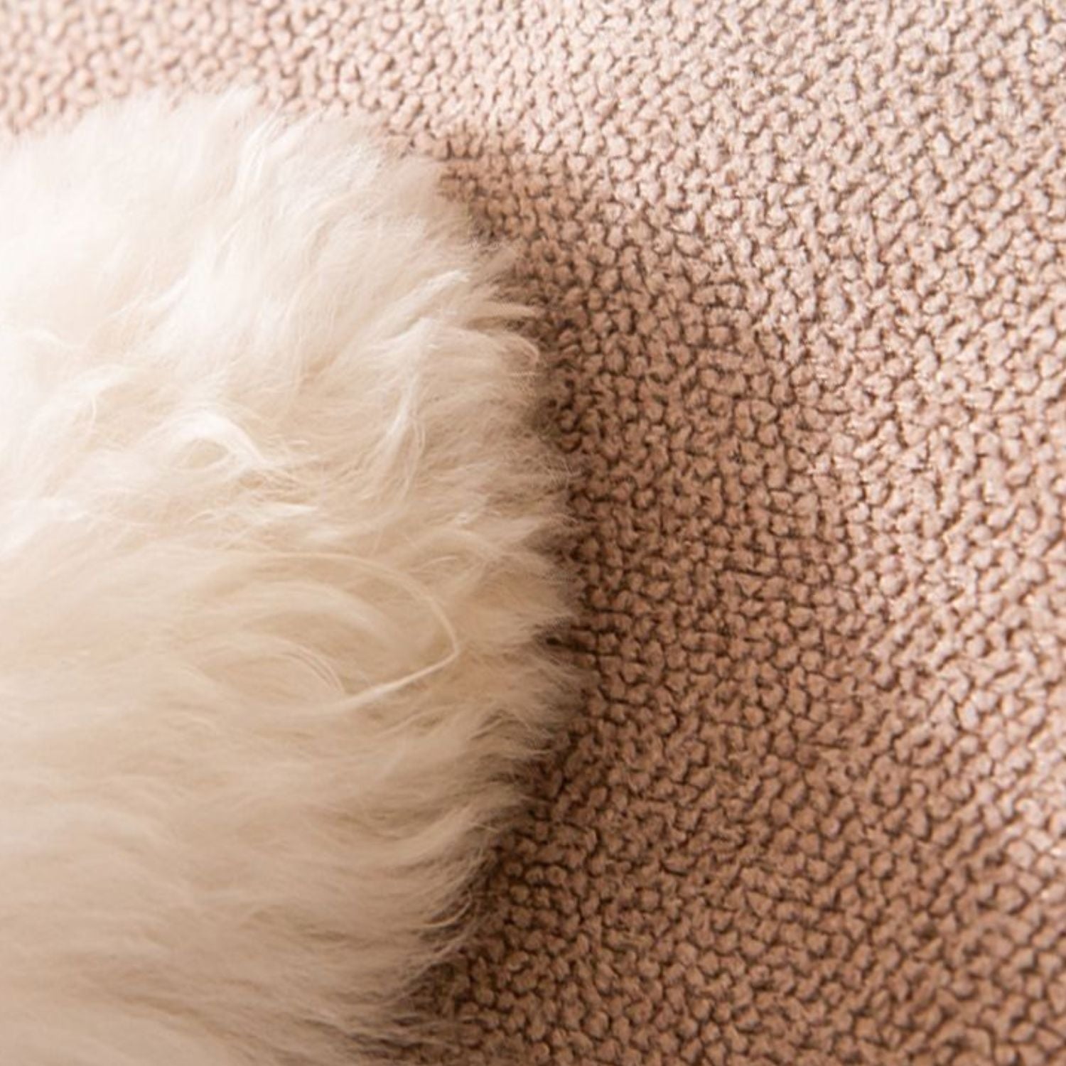 PawStep | Weiche Hundetreppe für Bett & Sofa