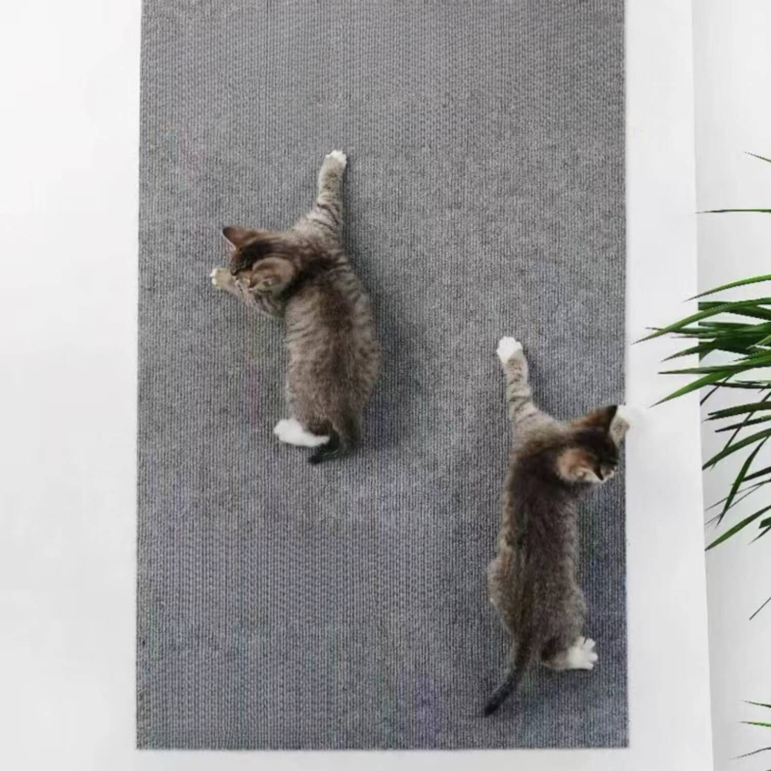 antislip krabmat katten speel