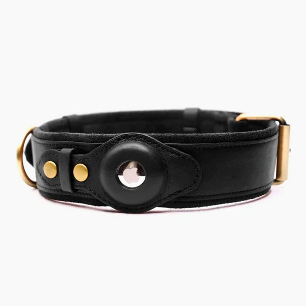 Echtes Lederhalsband mit Airtag-Halterung für Hunde 🐶📍 - Fluffy Adventures Haustiershop Sattelbraun 🤎 / S: 25 cm - 33 cm Mein Shop Hundehalsband mit Ortungsfunktion Echtes Lederhalsband mit Airtag-Halterung für Hunde 🐶📍 Hundehalsband mit Ortungsfunktion Mein Shop Sattelbraun 🤎 / S: 25 cm - 33 cm Fluffy Adventures Haustiershop