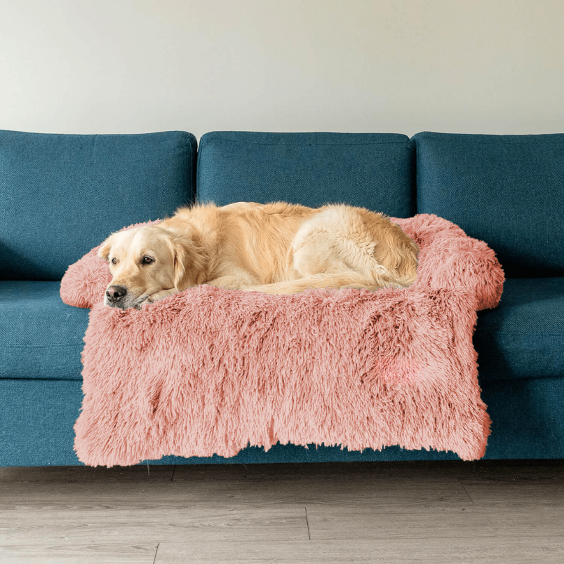 Stella | Große Hundematte mit Möbel-Schutzfunktion