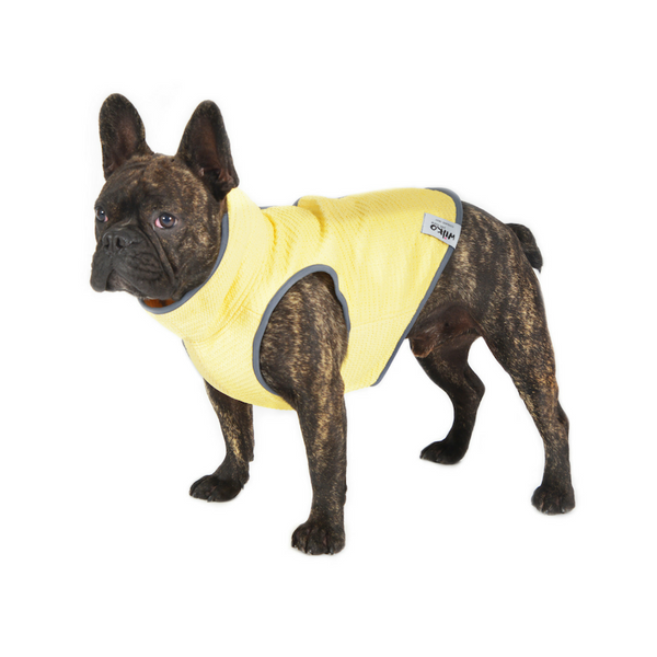 Rocco | Kühlweste für Hunde mit Verdunstungseffekt