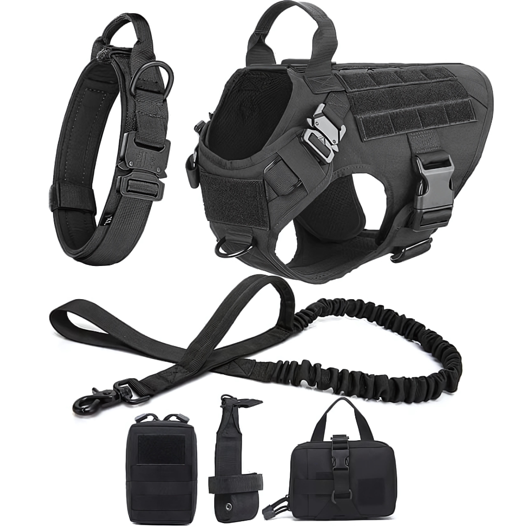 6 in 1 Komplettes Militär Hundegeschirr und Leinen-Set für Training und Spaziergänge - Fluffy Adventures Haustiershop Grüner 6 in 1 Komplettset / S: 10kg-15kg Mein Shop Hundetrainingsgeschirr 6 in 1 Komplettes Militär Hundegeschirr und Leinen-Set für Training und Spaziergänge Hundetrainingsgeschirr Mein Shop Grüner 6 in 1 Komplettset / S: 10kg-15kg Fluffy Adventures Haustiershop