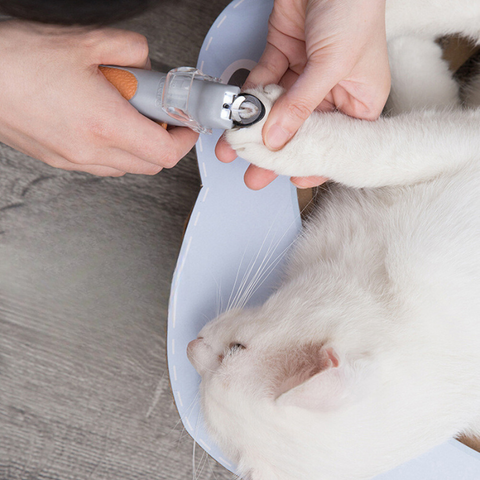 ClawGlow | LED-Nagelknipser für Katzen mit Sicherheitslicht