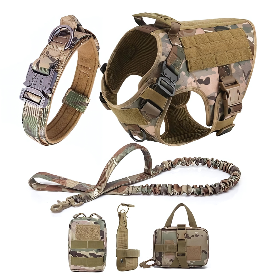 6 in 1 Komplettes Militär Hundegeschirr und Leinen-Set für Training und Spaziergänge - Fluffy Adventures Haustiershop Schwarzes 6 in 1 Komplettset / S: 10kg-15kg Mein Shop Hundetrainingsgeschirr 6 in 1 Komplettes Militär Hundegeschirr und Leinen-Set für Training und Spaziergänge Hundetrainingsgeschirr Mein Shop Schwarzes 6 in 1 Komplettset / S: 10kg-15kg Fluffy Adventures Haustiershop