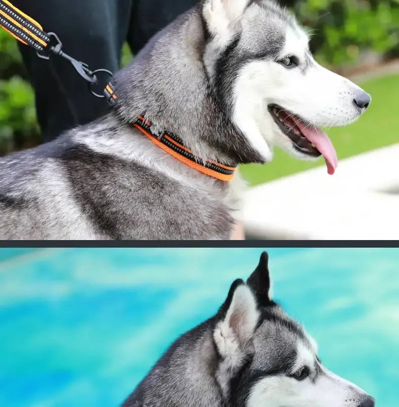 RexLicht | Reflektierendes Hundehalsband mit atmungsaktivem Komfortdesign
