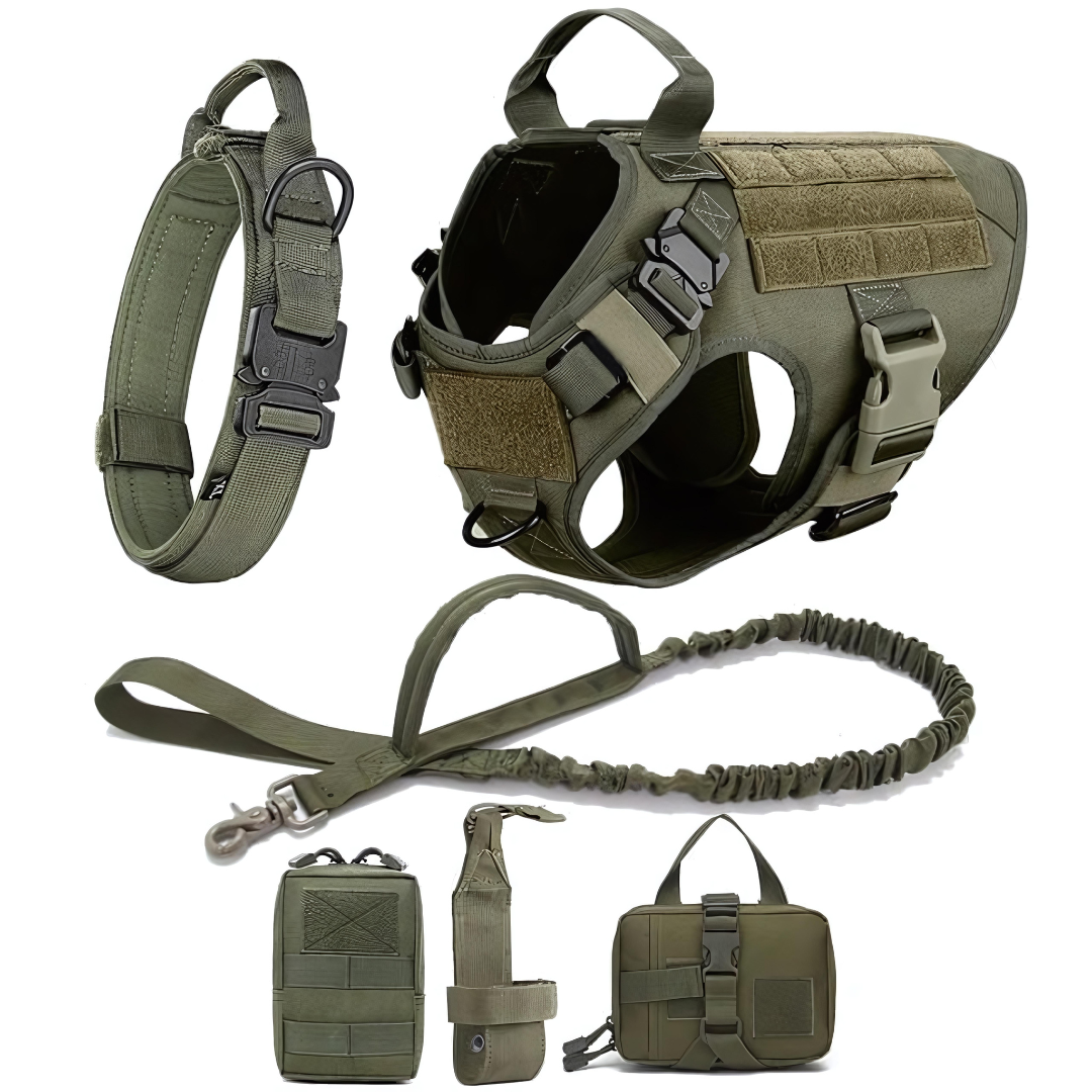 6 in 1 Komplettes Militär Hundegeschirr und Leinen-Set für Training und Spaziergänge - Fluffy Adventures Haustiershop Schwarzes 6 in 1 Komplettset / S: 10kg-15kg Mein Shop Hundetrainingsgeschirr 6 in 1 Komplettes Militär Hundegeschirr und Leinen-Set für Training und Spaziergänge Hundetrainingsgeschirr Mein Shop Schwarzes 6 in 1 Komplettset / S: 10kg-15kg Fluffy Adventures Haustiershop