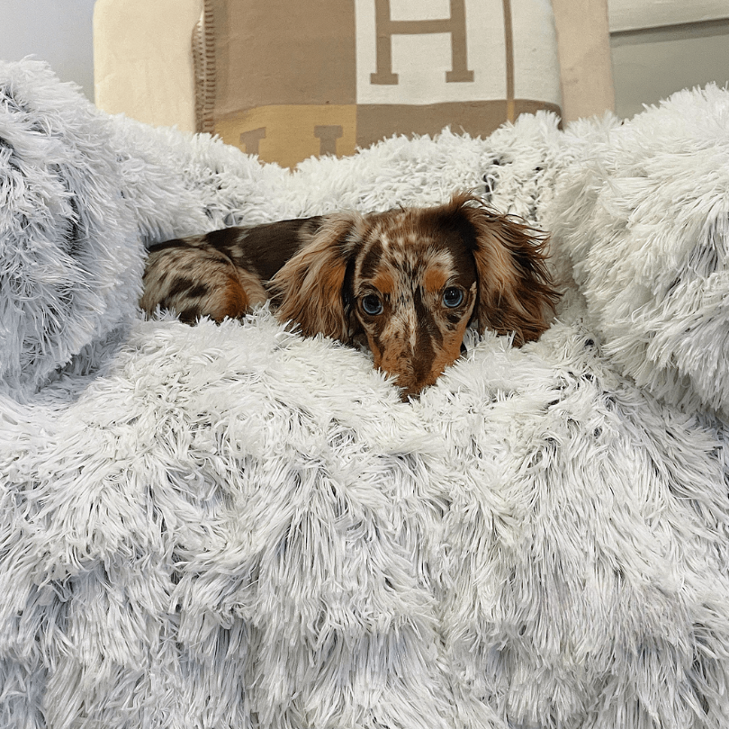 Stella | Große Hundematte mit Möbel-Schutzfunktion