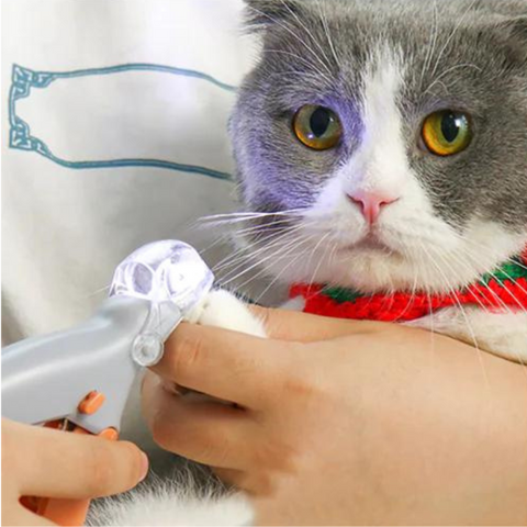 ClawGlow | LED-Nagelknipser für Katzen mit Sicherheitslicht