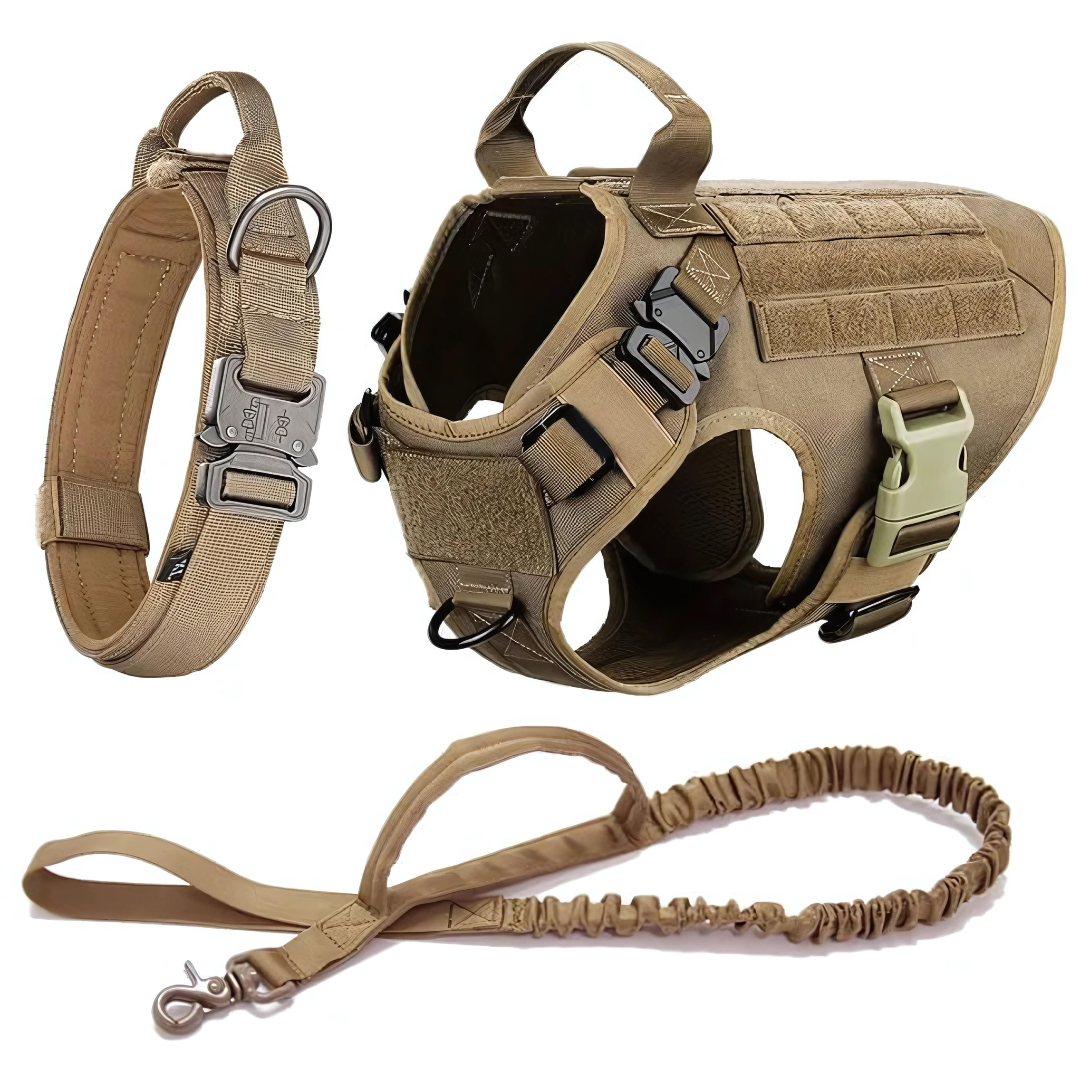 Ragnar | 3-in-1 Militärisches Hundegeschirr-Set mit Leine und Halsband