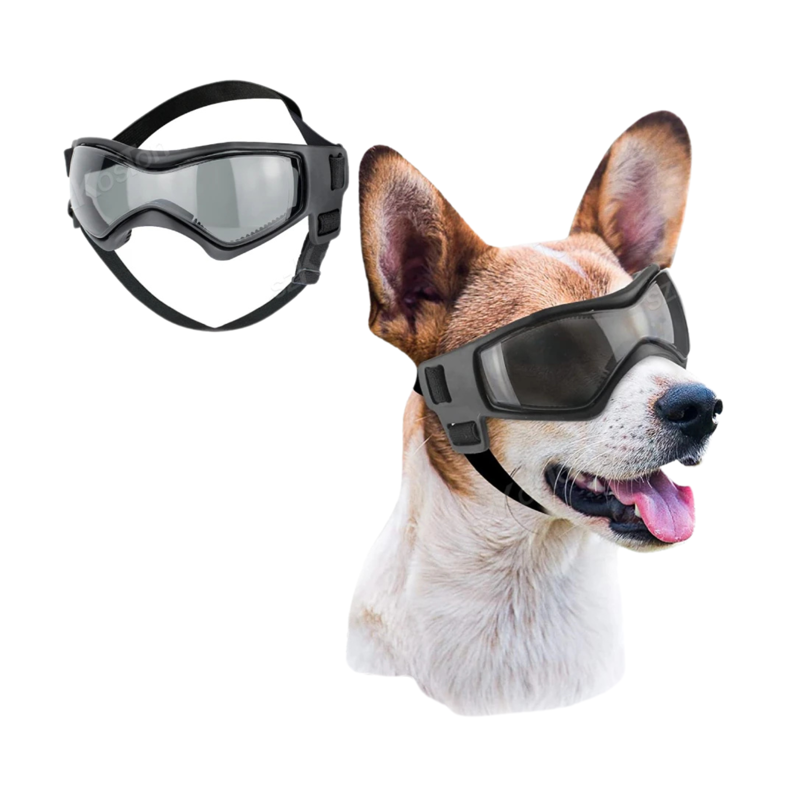 Dognero | Sportliche Schutzbrille für Hunde mit UV-Filter