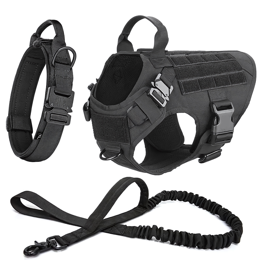 3 in 1 Komplettes Hundegeschirr und Leinen-Set für Training und Spaziergänge - Fluffy Adventures Haustiershop Grünes 3 in 1 / S (s.Beschreibung) Mein Shop Hunde Leinen-Set
