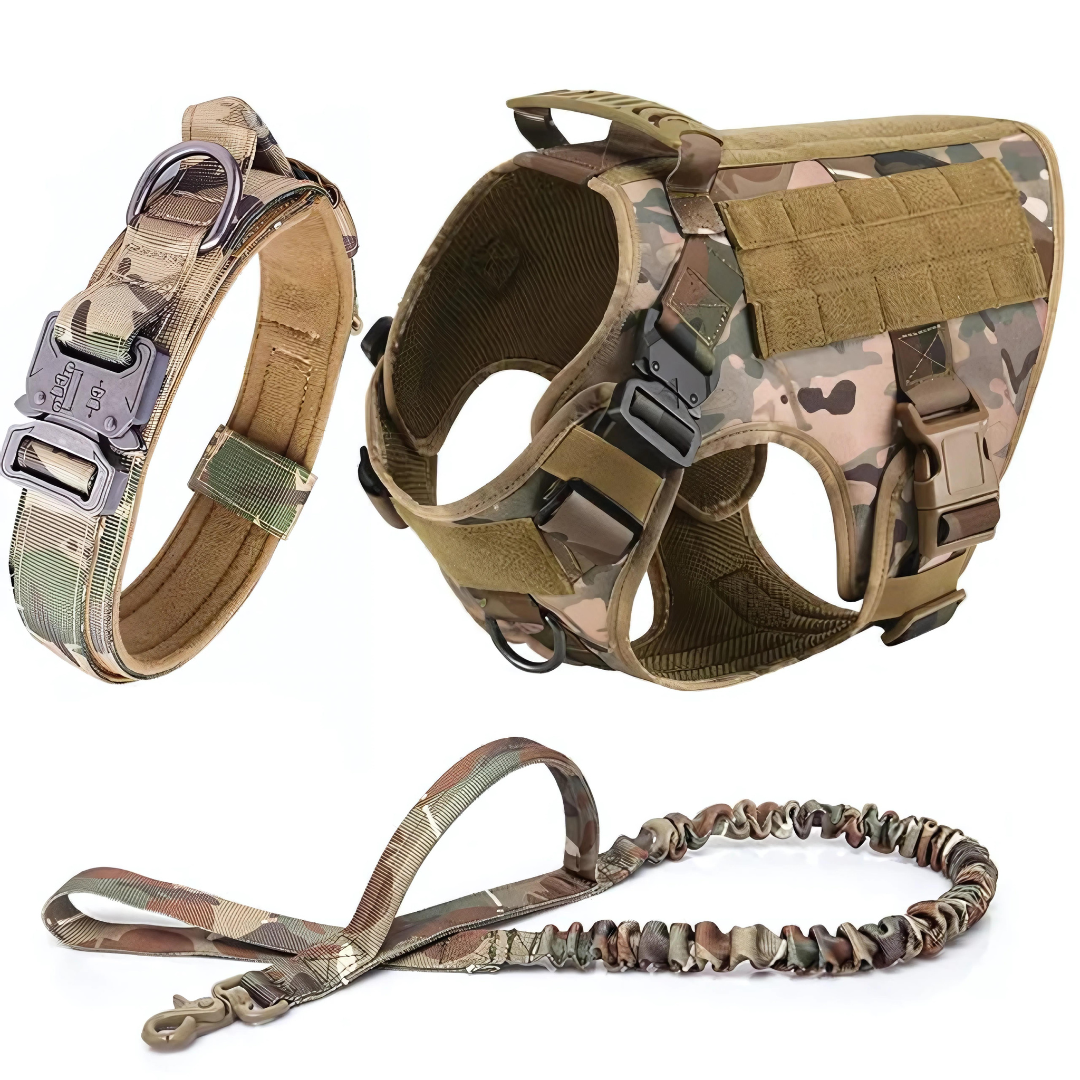 6 in 1 Komplettes Militär Hundegeschirr und Leinen-Set für Training und Spaziergänge - Fluffy Adventures Haustiershop Schwarzes 6 in 1 Komplettset / S: 10kg-15kg Mein Shop Hundetrainingsgeschirr 6 in 1 Komplettes Militär Hundegeschirr und Leinen-Set für Training und Spaziergänge Hundetrainingsgeschirr Mein Shop Schwarzes 6 in 1 Komplettset / S: 10kg-15kg Fluffy Adventures Haustiershop