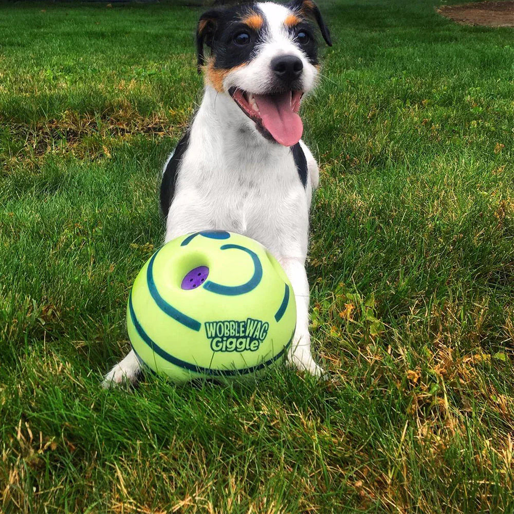 WuffWhirl | Interaktiver Geräusch- & Vibrationsball für Hunde