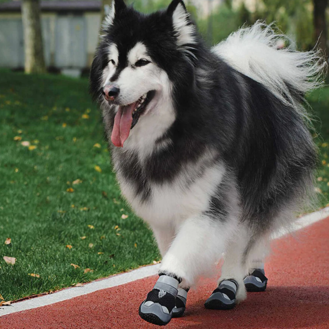 PfotenSchutz | Rutschfeste Hundeschuhe
