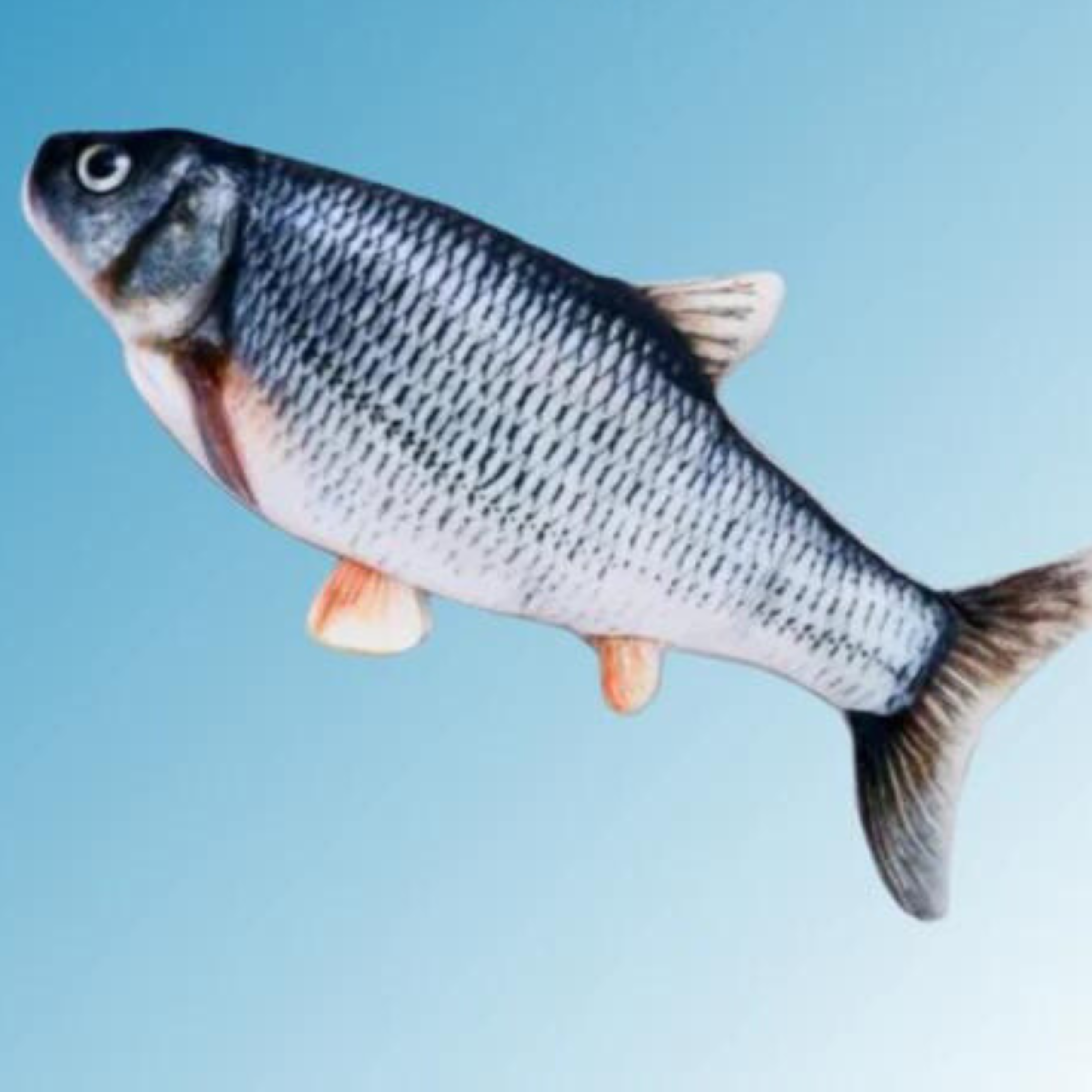 Finn | Bewegliches Fischspielzeug für Katzen