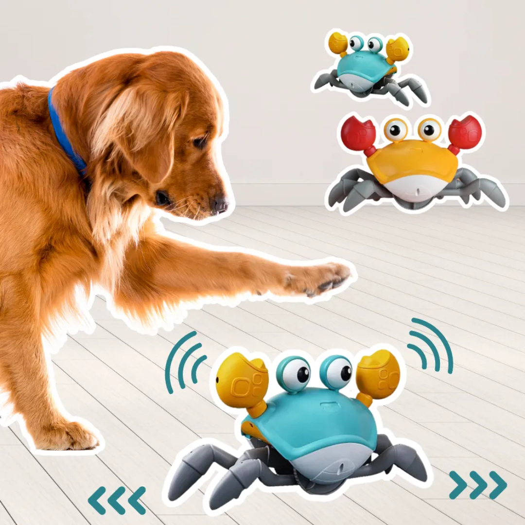KrabbelKumpel | Interaktives Hunde-Spielzeug