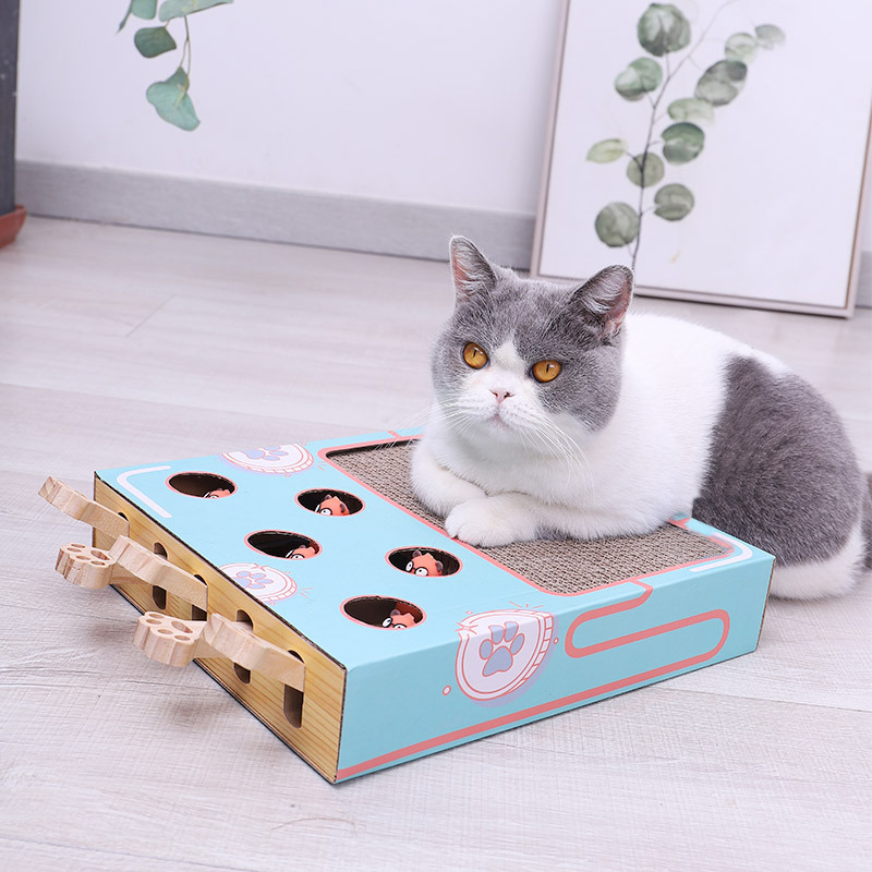 Tatzino | Schlag- und Kratzspielbox für Katzen