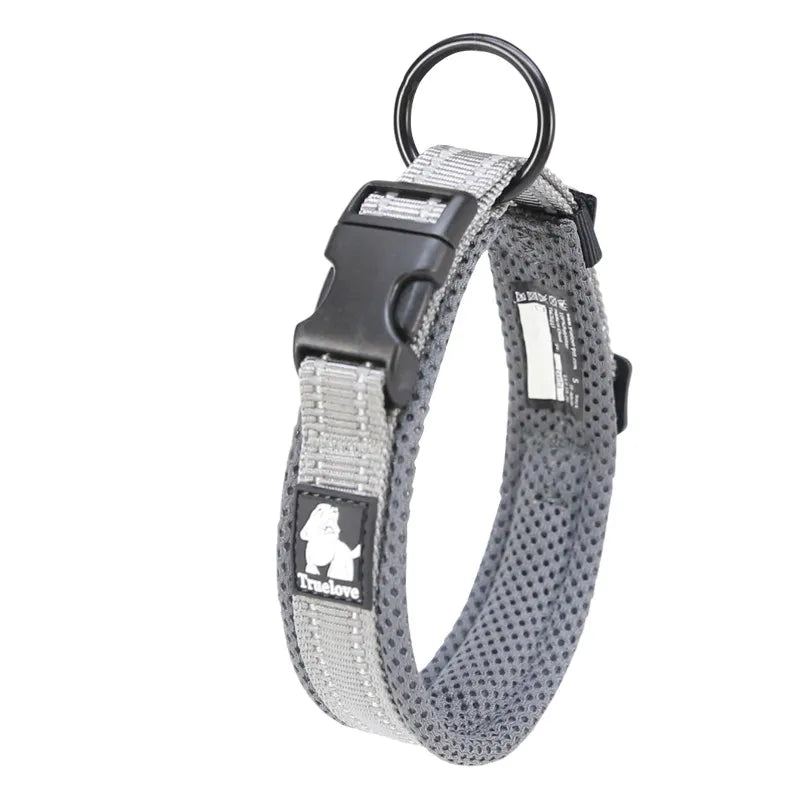 RexLicht | Reflektierendes Hundehalsband mit atmungsaktivem Komfortdesign