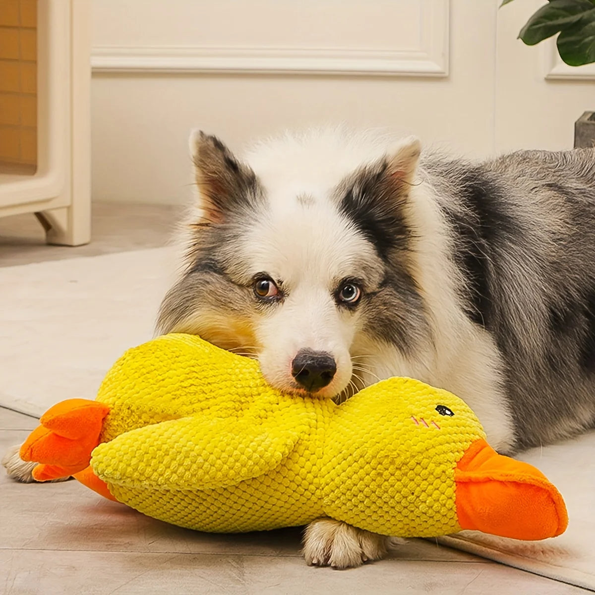 CalmBuddy | Beruhigendes Plüschspielzeug für Hunde