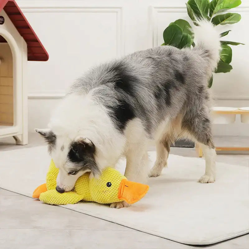 CalmBuddy | Beruhigendes Plüschspielzeug für Hunde