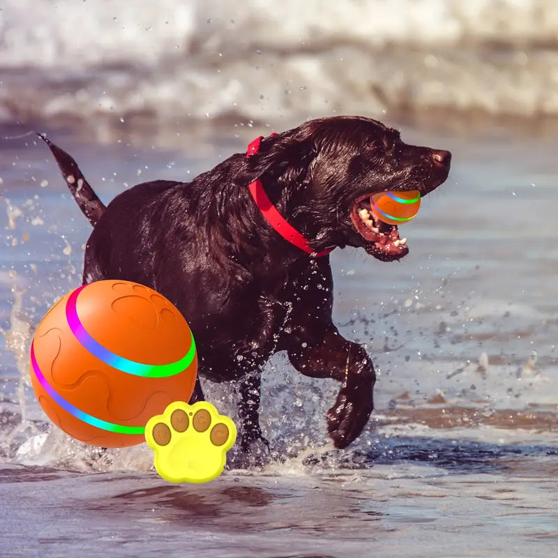 TurboTaps | Interaktiver Leuchtball für Hunde & Katzen mit automatischer Rollfunktion