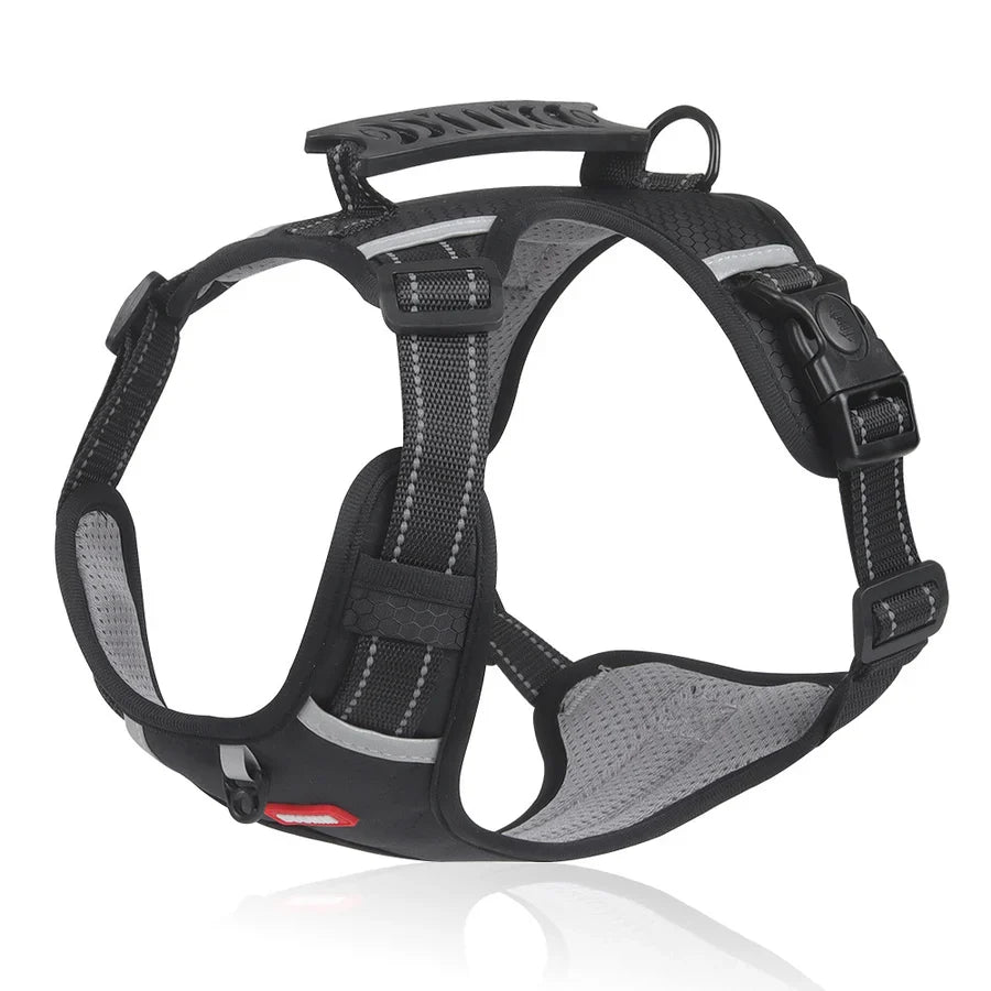 IronPaw | Robustes Hundegeschirr für Kontrolle & Komfort