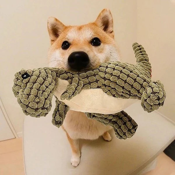 PawRex | Plüsch-Dino-Spielzeug für Hunde