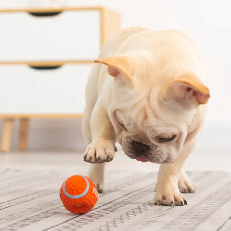 Nora | Extrem robustes Hundespielzeug für starke Kauer