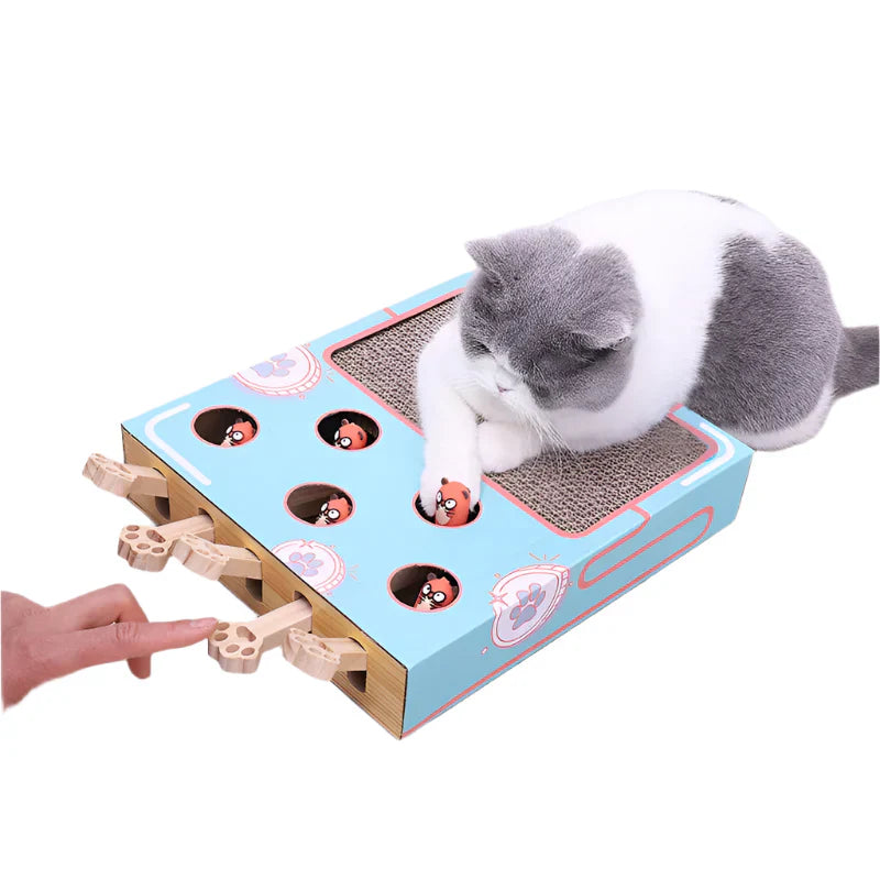 Tatzino | Schlag- und Kratzspielbox für Katzen