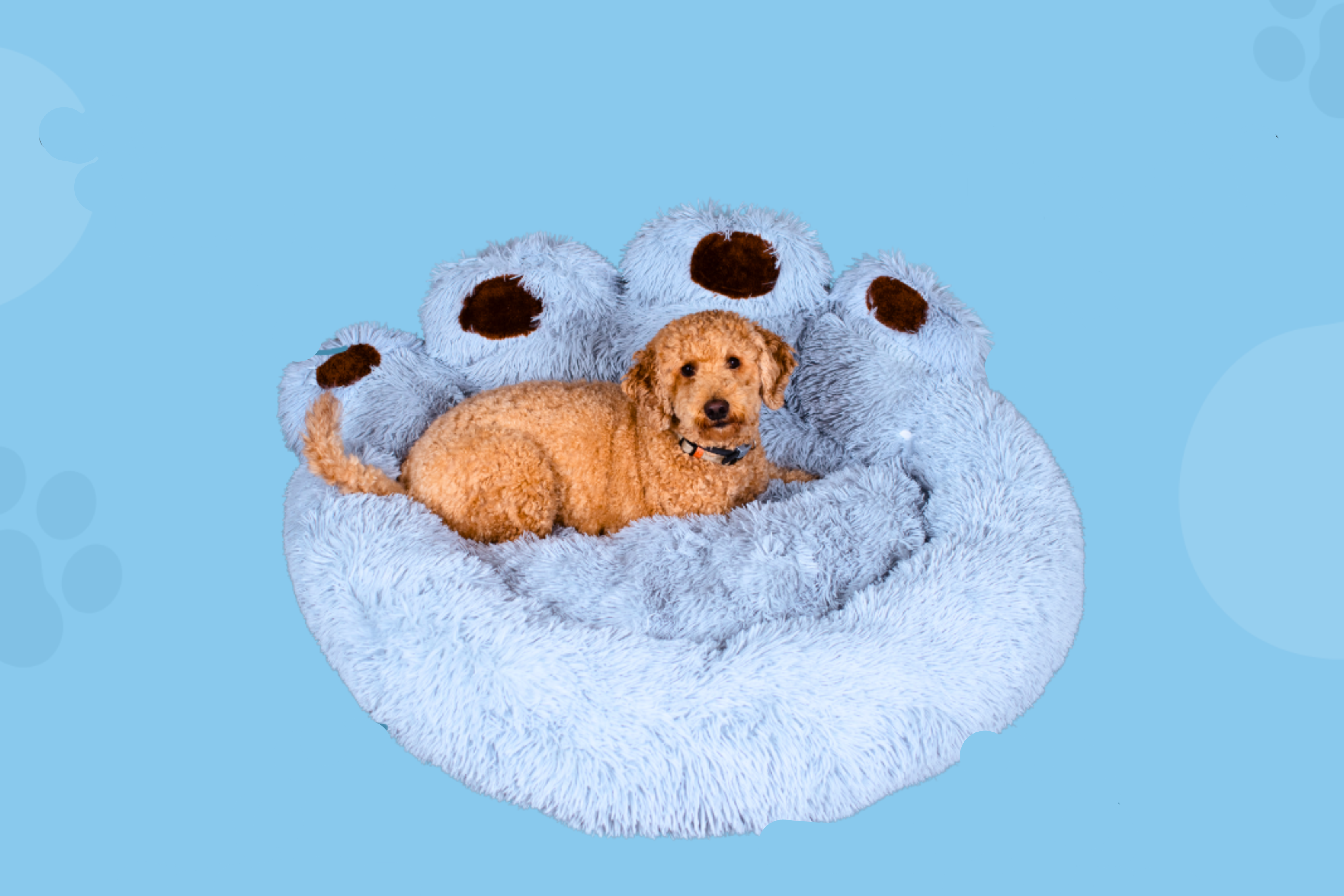 CozyPaw | Pfotenförmiges Kuschelbett für Hunde