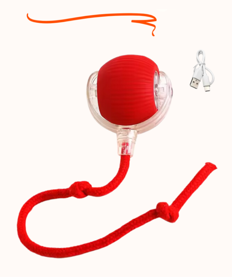 WuffSpin | Interaktiver Hundespielball
