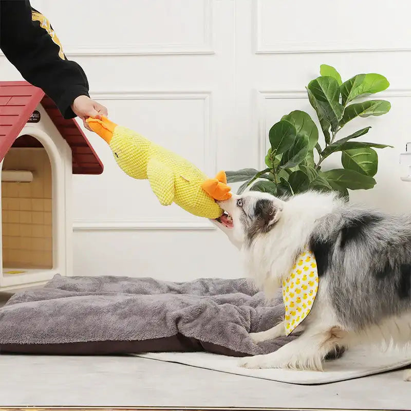 CalmBuddy | Beruhigendes Plüschspielzeug für Hunde
