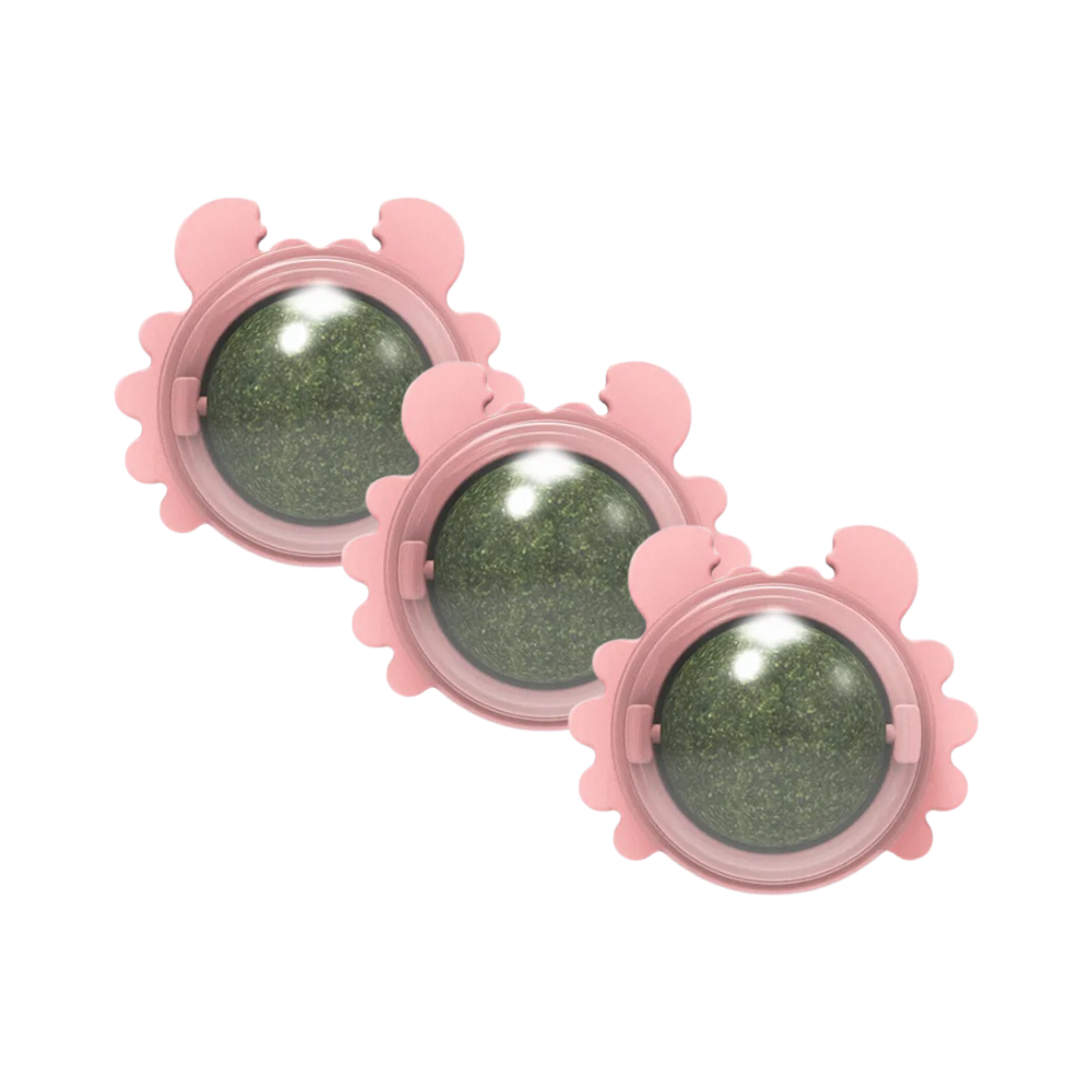 NylaPets | Katzen-Spielball mit Katzenminze