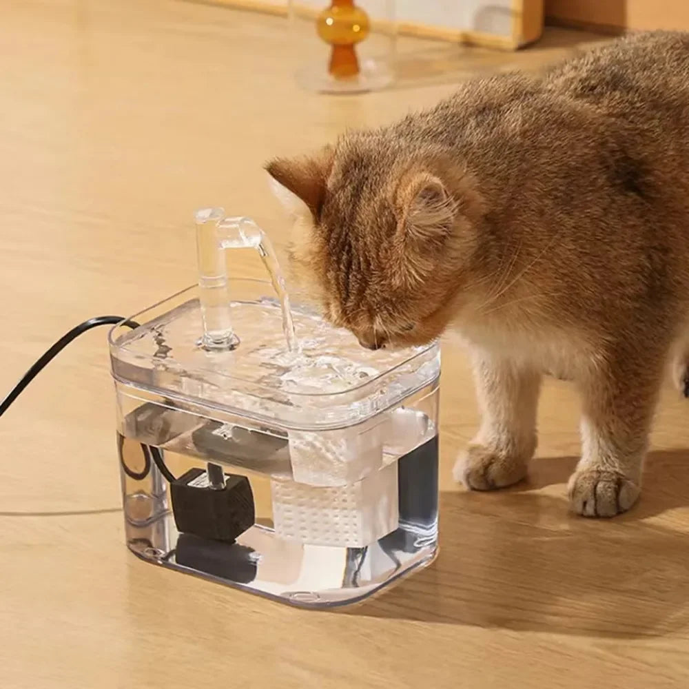 Oliver | Automatischer Haustier Trinkbrunnen mit Frischwasserfilter
