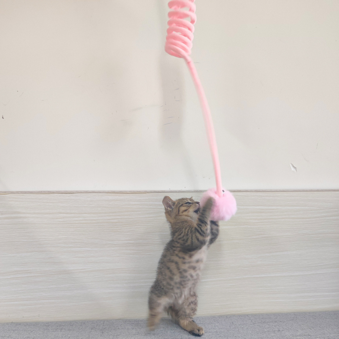 Nala | Interaktives Feder-Gummispiel für aktive Katzen