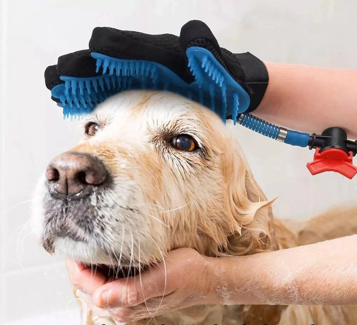 AquaPaw | Hundedusche mit Massagehandschuh