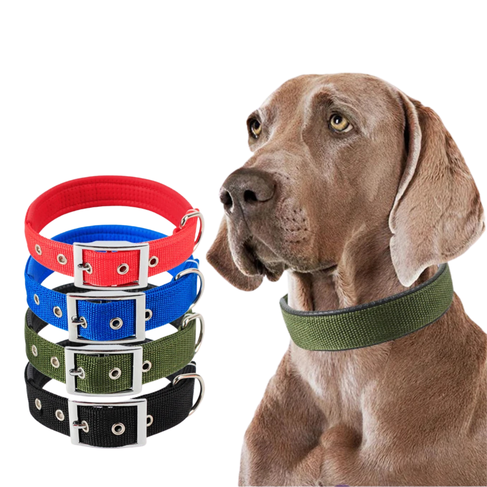 Brando | Verstellbares Nylon-Hundehalsband für aktive Hunde