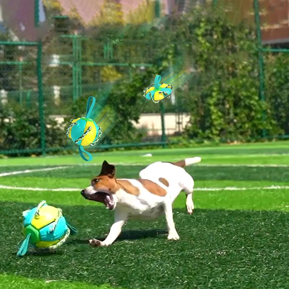 Balloro | Robuster Zerr- und Kauspielball für aktive Hunde