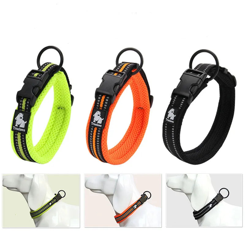 RexLicht | Reflektierendes Hundehalsband mit atmungsaktivem Komfortdesign
