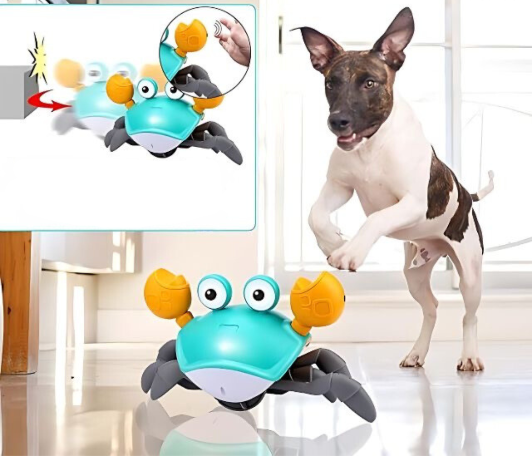 KrabbelKumpel | Interaktives Hunde-Spielzeug
