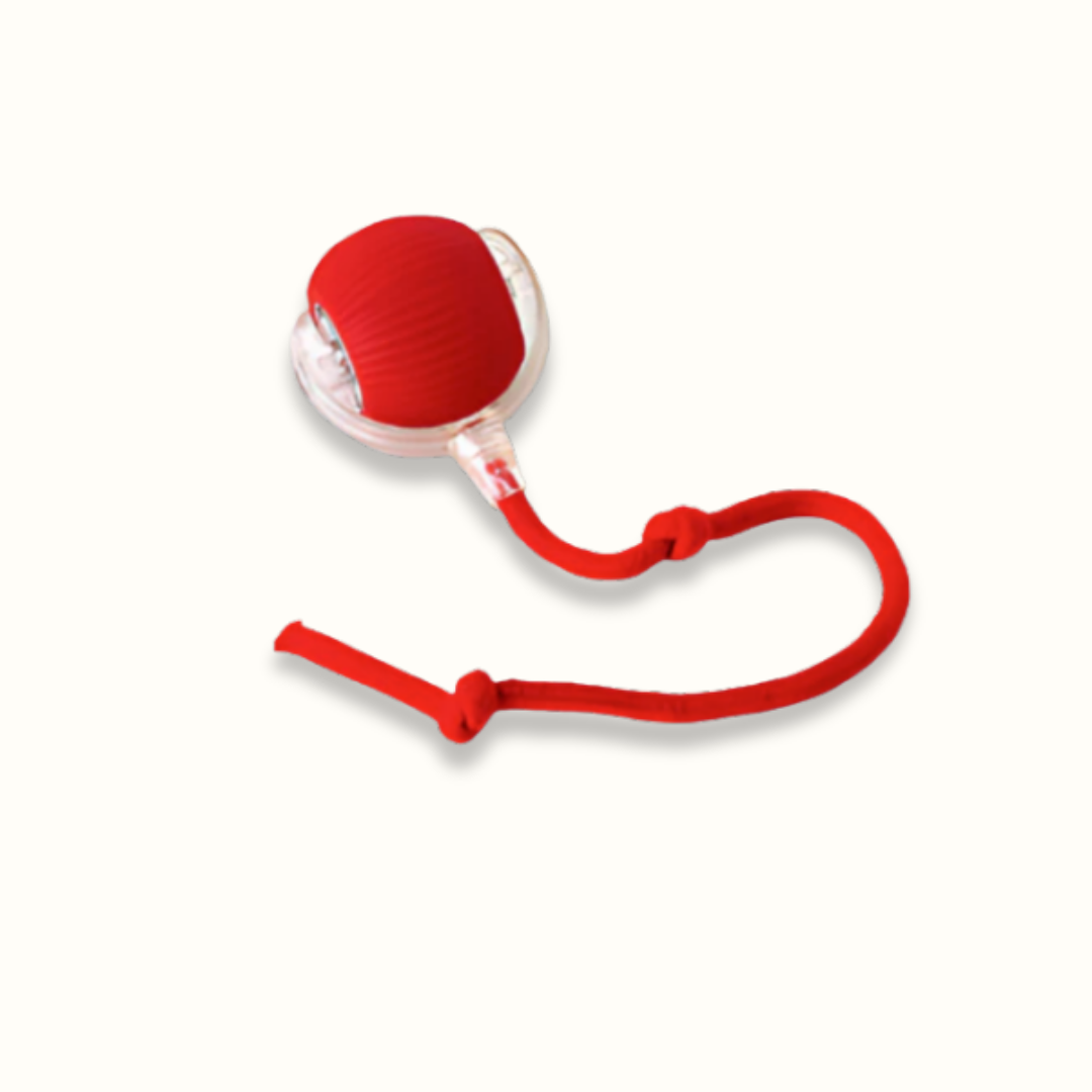 WuffSpin | Interaktiver Hundespielball