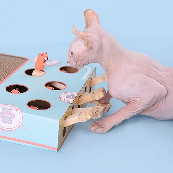 PlayPawz | 3-in-1 Interaktives Katzenspielzeug mit Jagdmodus