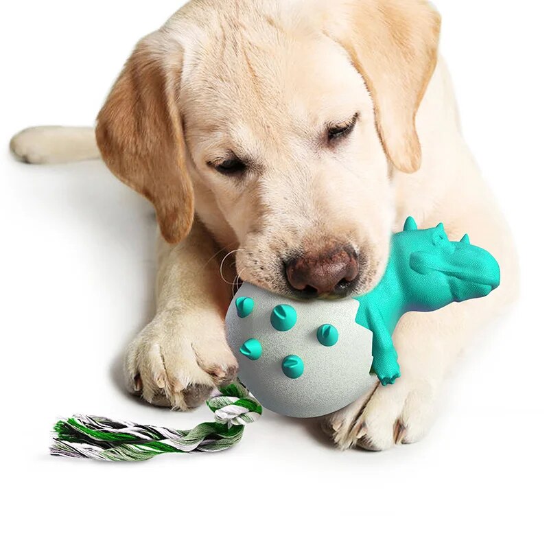 Dinobello | Kauspielzeug mit Zerrseil im Dino-Ei-Design für Hunde