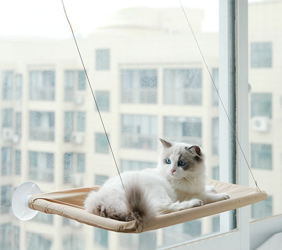 Pawelle | Fensterhängematte für Katzen – Sonnenplatz mit Aussicht
