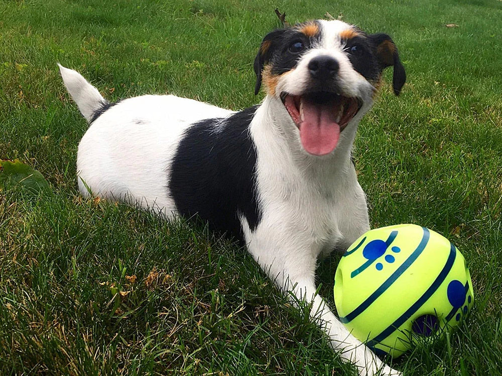 WuffWhirl | Interaktiver Geräusch- & Vibrationsball für Hunde